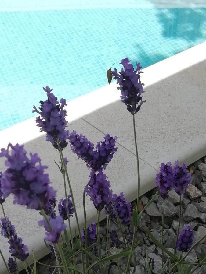 Vila Martina - Bellevue Smrika Ngoại thất bức ảnh